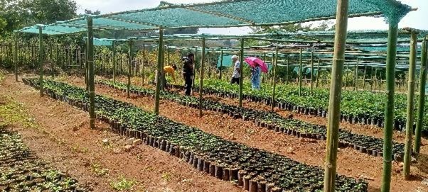 environment development and sustainability