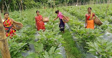 ecological environment