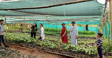 Biodiversity Conservation
