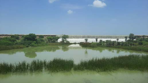 environmental engineering